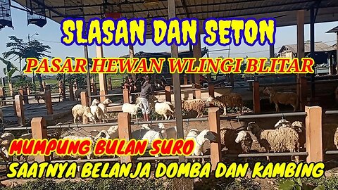 SUASANA TERKINI PASAR WLINGI BLITAR MEMASUKI BULAN SURO