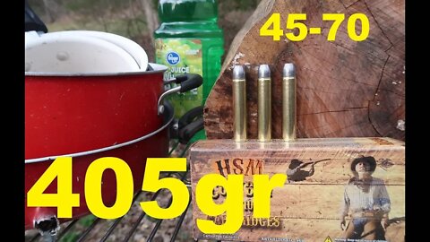 45-70 GOVT - 405 grain bullets SPLITTING LOGS and POTS!!!