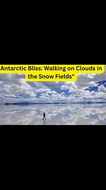 Antarctic Bliss: Walking on Clouds in the Snow Fields"