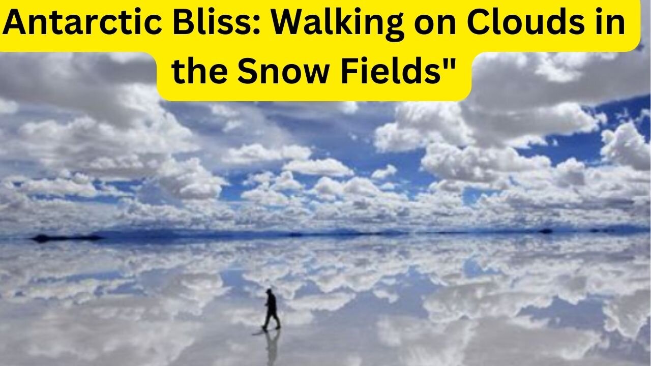 Antarctic Bliss: Walking on Clouds in the Snow Fields"