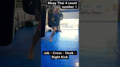 Muay Thai 4 Count Number 1