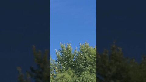 Mr blue sky #shorts