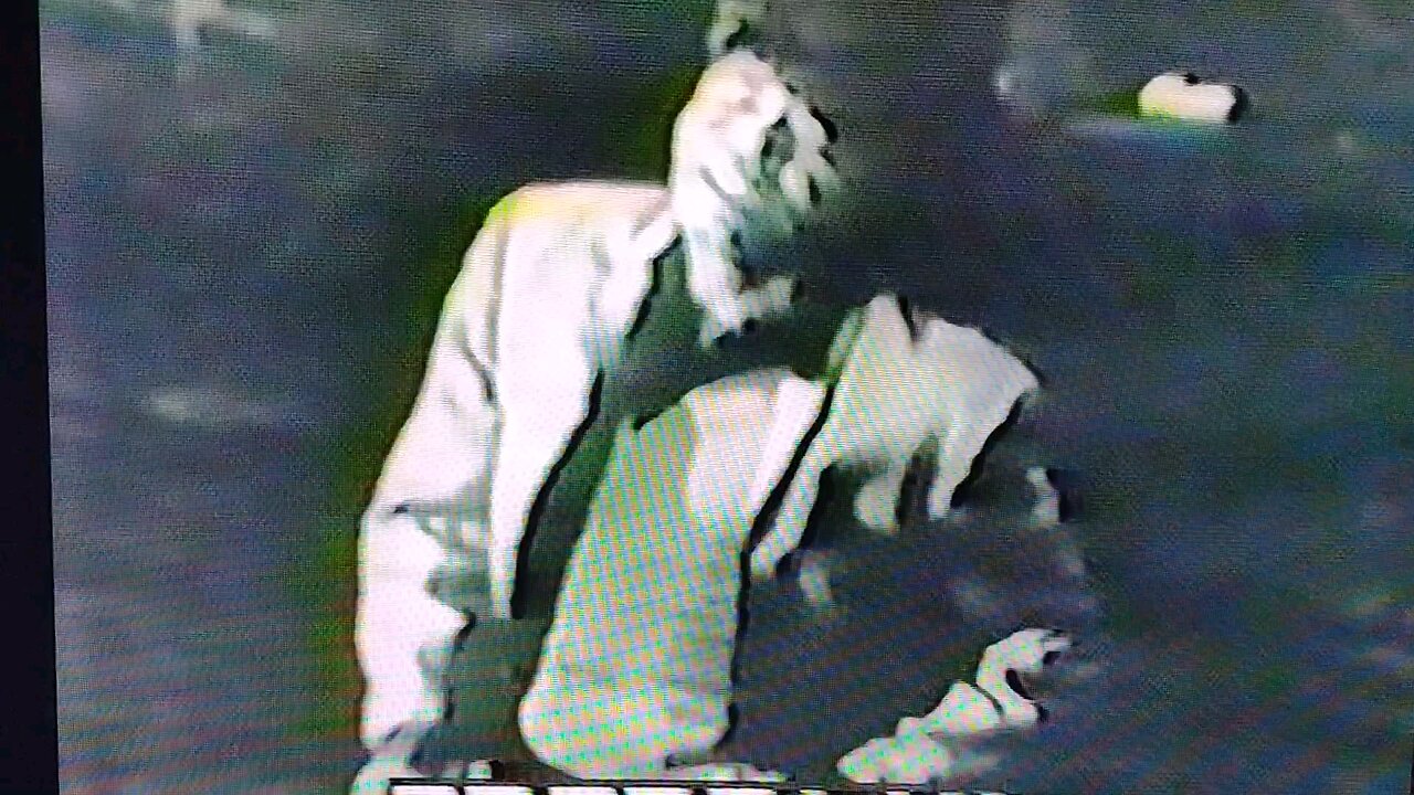 James Brown 1966 Prisoner Of Love (Where The Action Is)