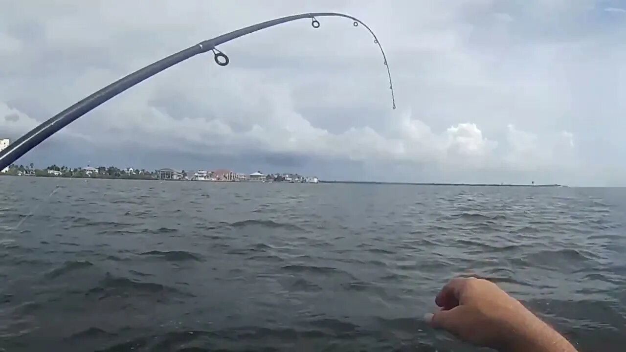 inshore jet ski fishing cobia and trout