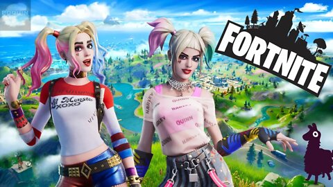 Harley Quinn in Fortnite?