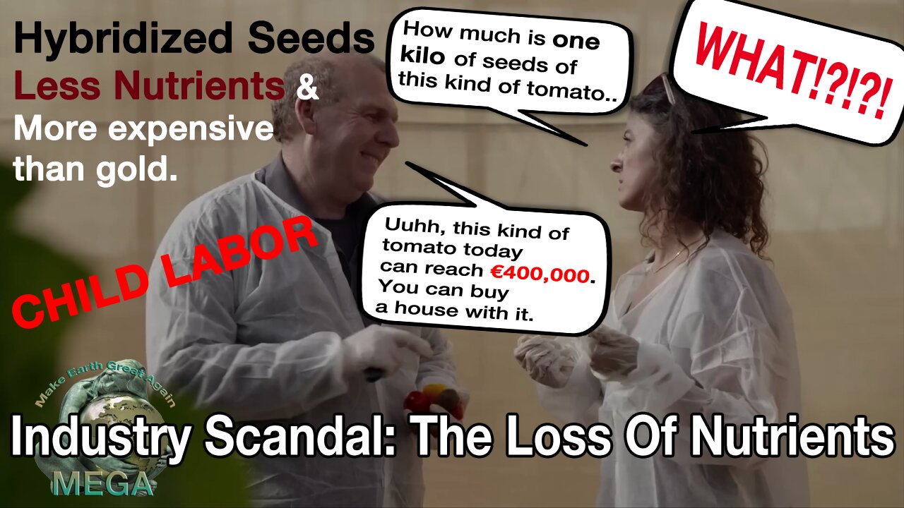 SEED GLOBALIZATION | HYBRIDIZED SEEDS - MORE EXPENSIVE THAN GOLD -- Industry Scandal: The Loss Of Nutrients