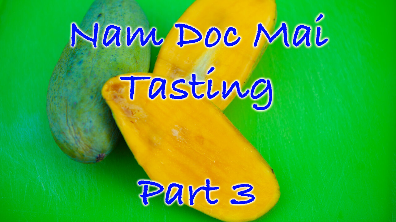 Nam Doc Mai Mango tasting | GreenMangoes | Best Mango | Gardening in Las Vegas