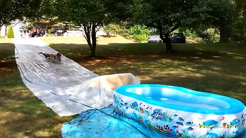 Laugh funny videos