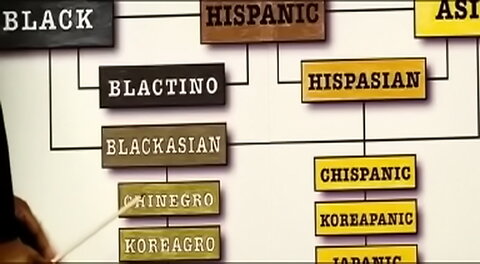 Race Flow Chart (from Domino)