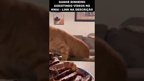 olha a cara de pidão dele