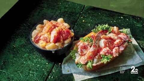Panera is bringing back two lobster dishes
