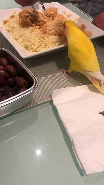 Candy waited for dad to come home