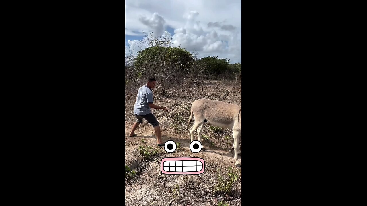 he catch the balls of donkey 🤣🤣🤣🤣🤣