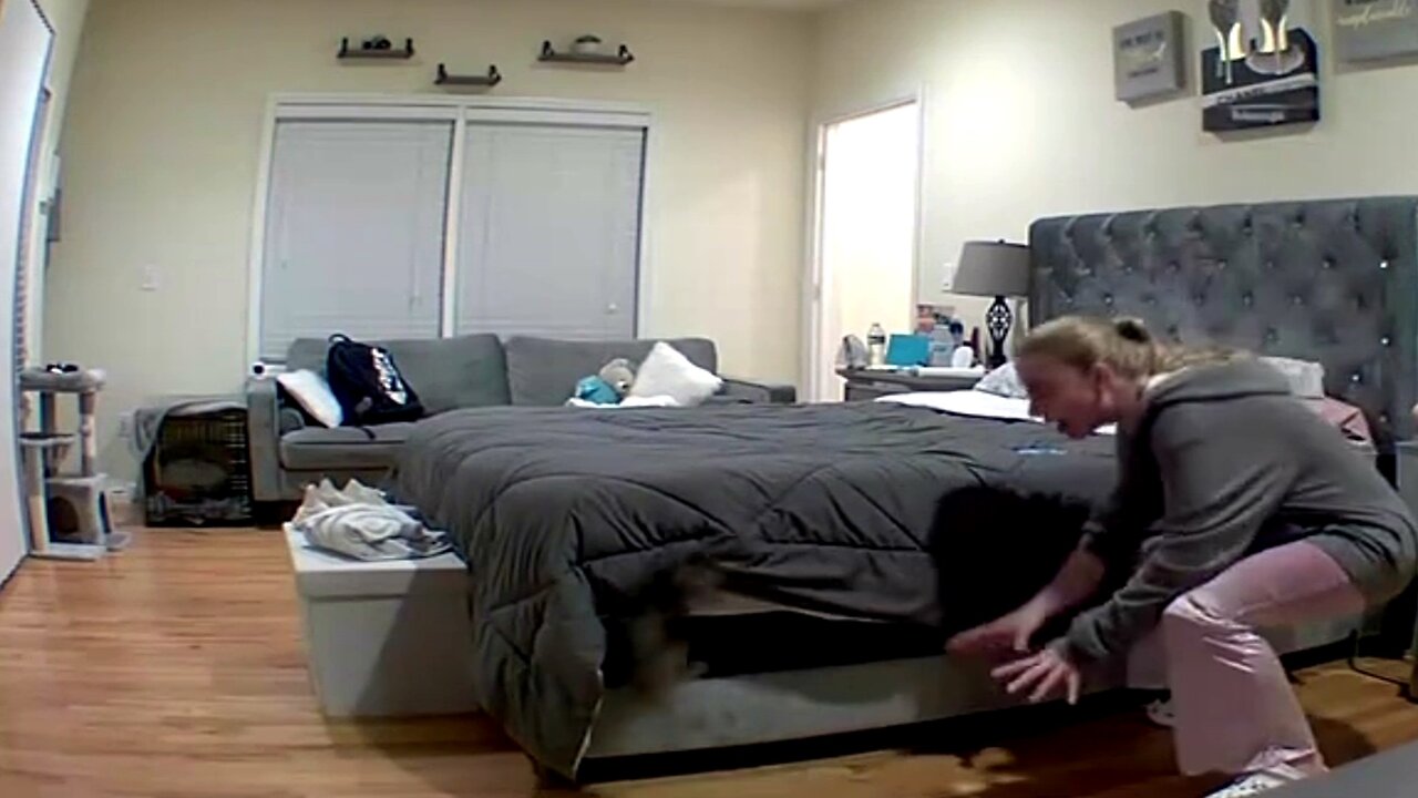 Kitten Tries to Scare Owner Caught on Blink Camera | Doorbell Camera Video