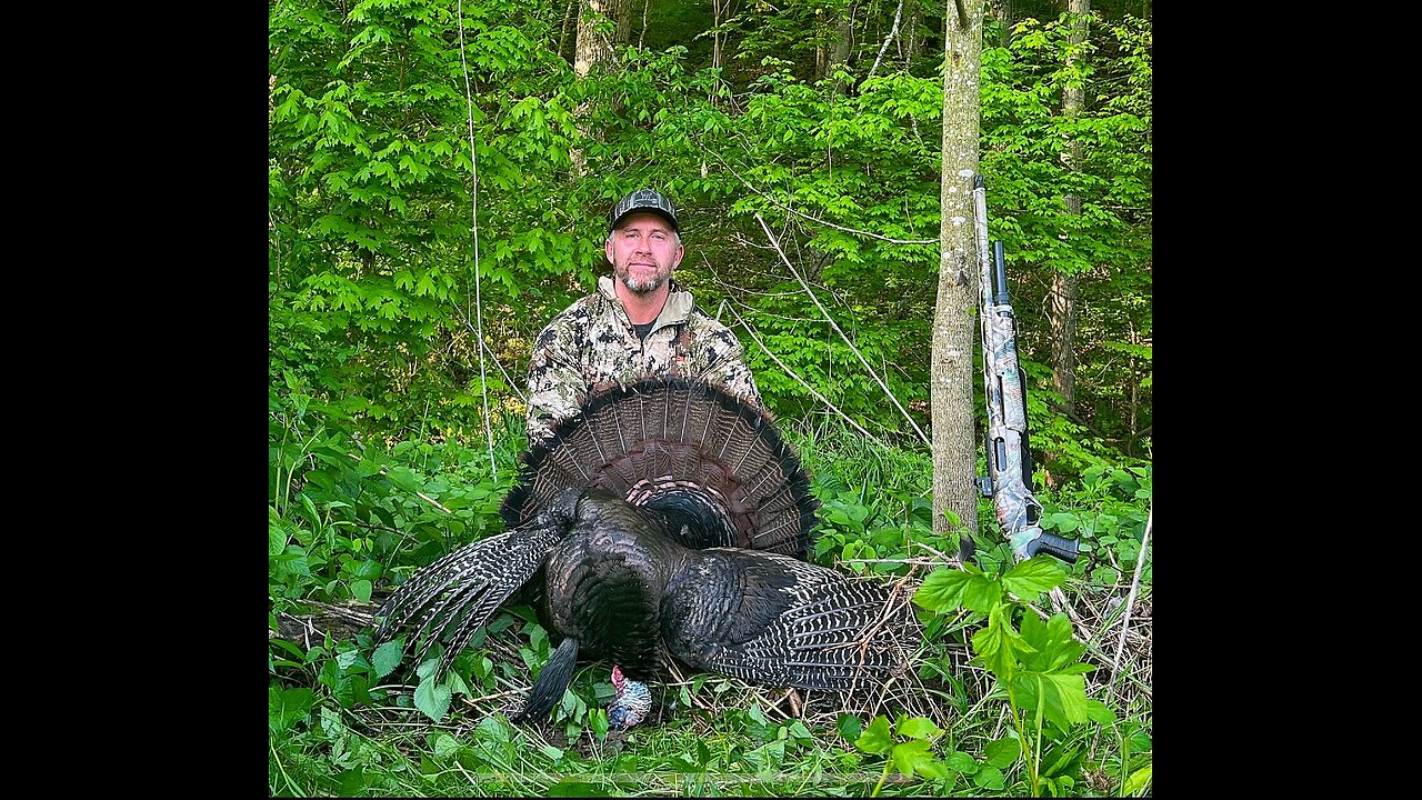 Turkey Hunting Self-Filmed | Benelli Shotgun