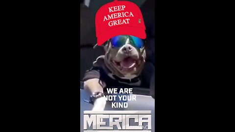 Maga Mutt