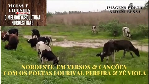 NORDESTE EM VERSOS & CANÇÕES COM OS POETA LOURIVAL PEREIRA & ZÉ VIOLA