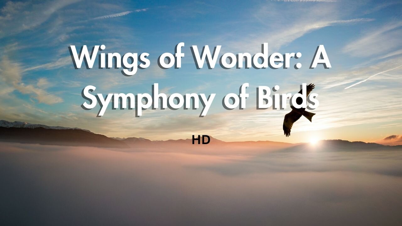 Wings of Wonder: A Symphony of Birds