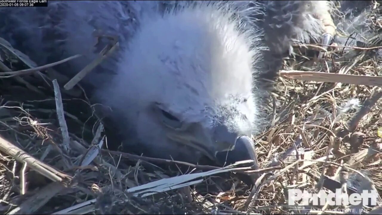 E-14 is sugar and spice and everything cute. 1-5-20