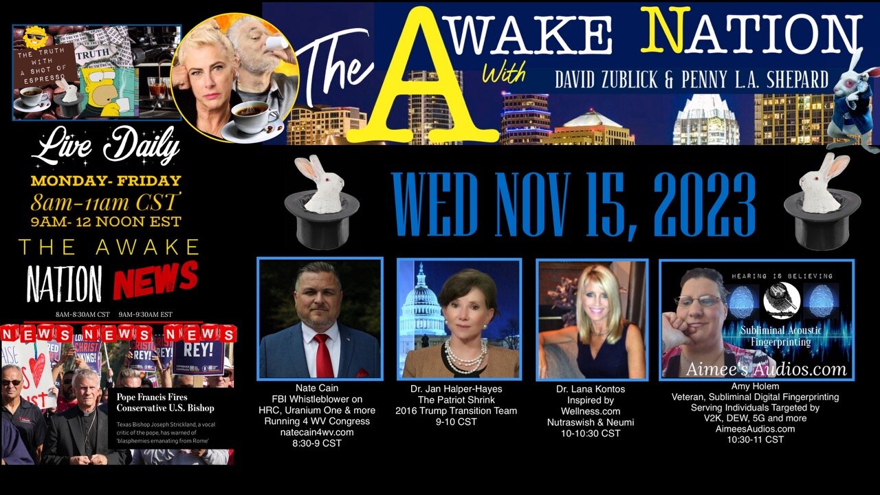 The Awake Nation 11.15.2023 Jan Halper-Hayes: Total Collapse Imminent!