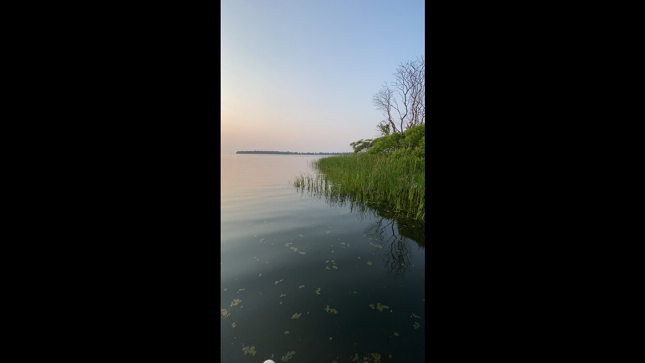 Nature is so beautiful