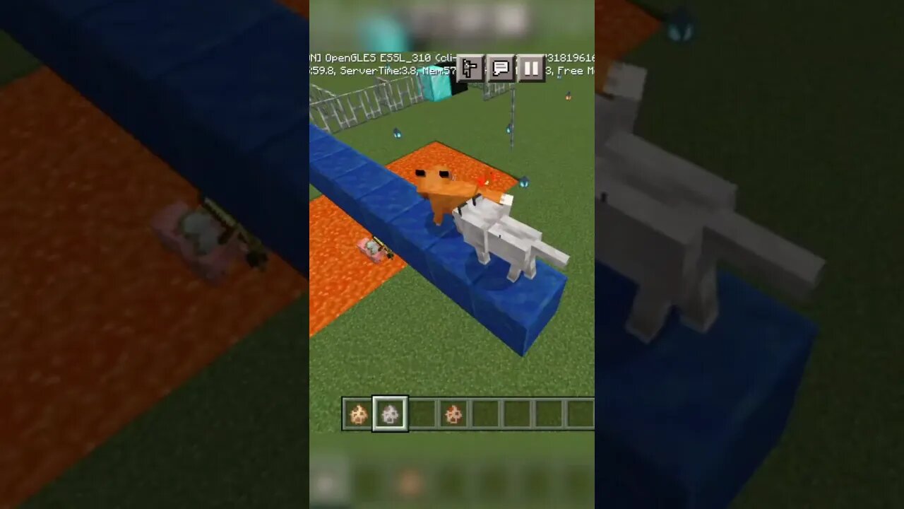 What is the IQ of fox and wolf(🐕 dog) || #shorts #minecraftpe