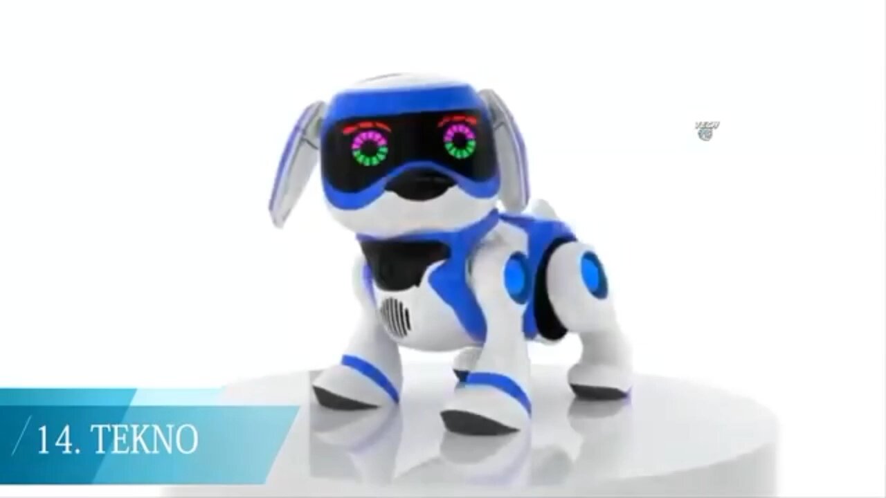 Robot puppy .