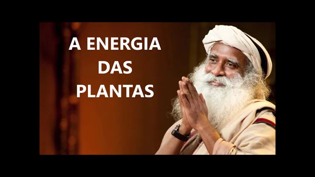 A ENERGIA DAS PLANTAS, SADHGURU, DUBLADO