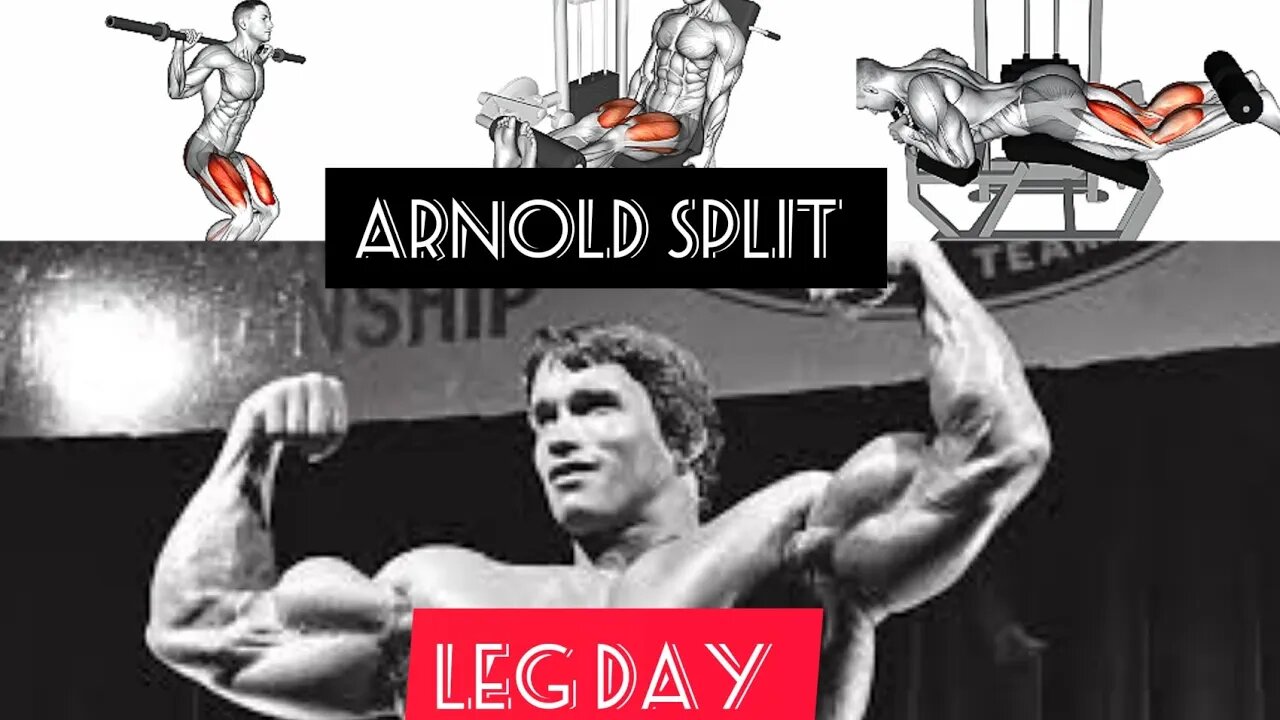 ARNOLD SPLIT:LEG DAY (GYM)