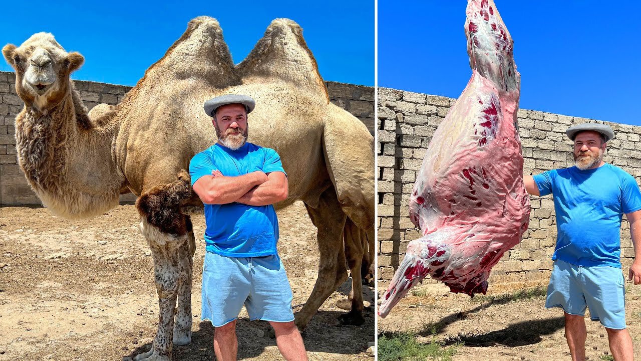 I cooked camel 🐫