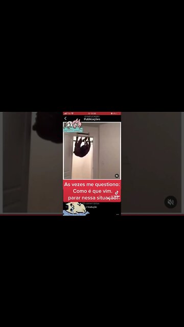 Quando você arruma problema pra si mesmo. #shorts #hipertrofia #academia #emagrecer