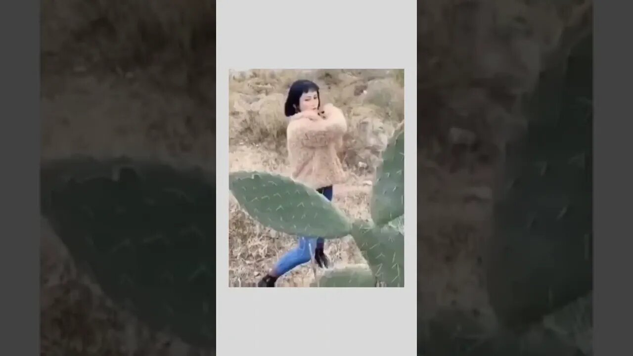 Messing with Cactus 🌵😝🤦