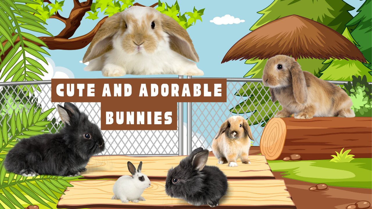 Cute and adorable bunnies