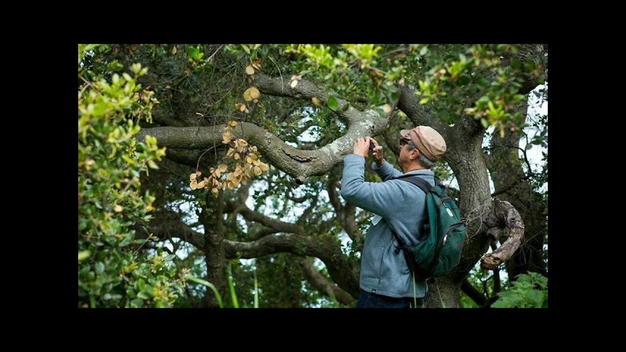 Nature observation alongside Qur’an study | Complete connection | What the world is begging for!