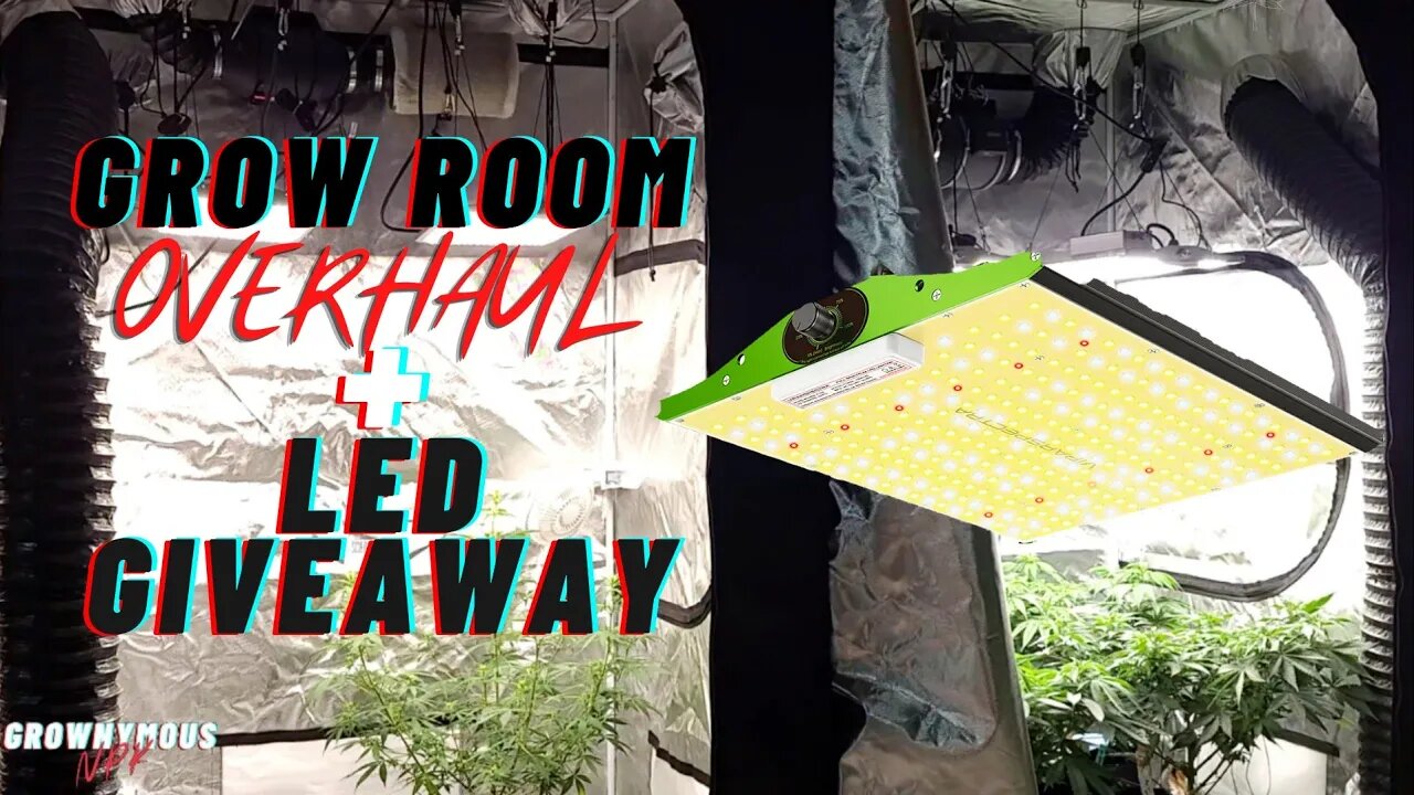 Grow Room Overhaul + VIPARSPECTRA P1000 GIVEAWAY!!! Best Grow Lights Of 2021?