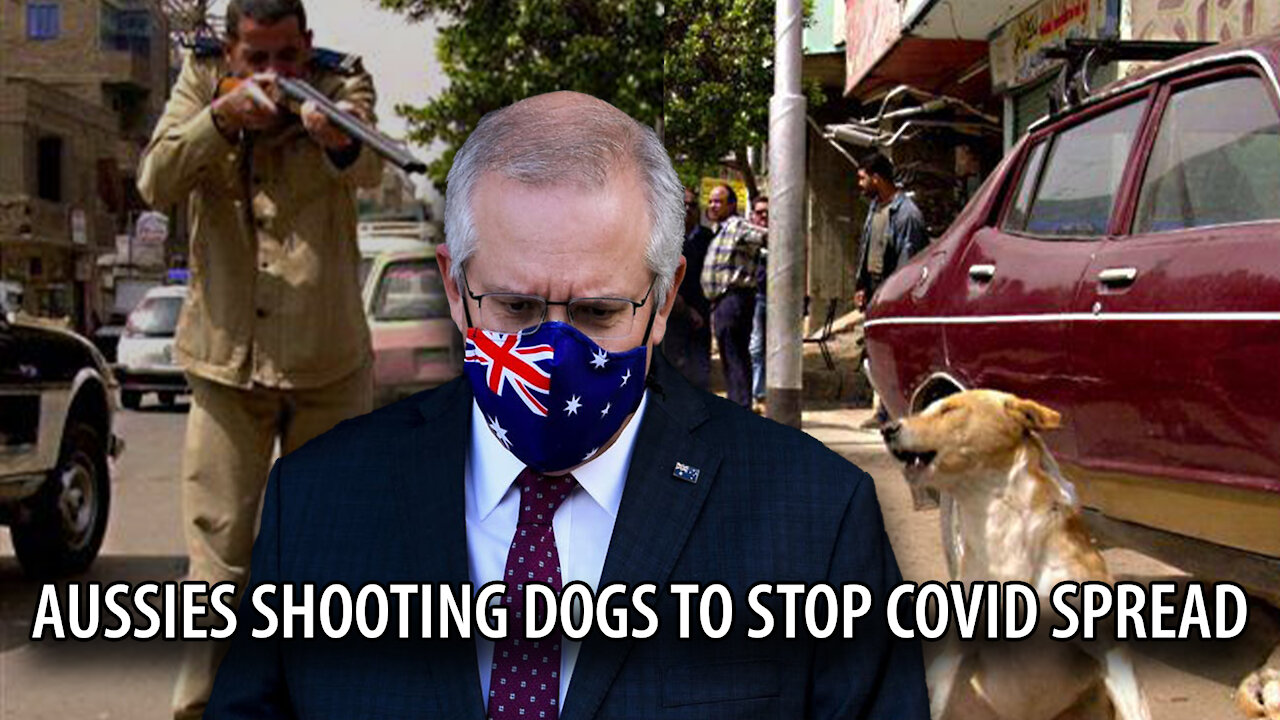 Australian Government is SHOOTING RESCUE PUPPIES in the Head to Stop 'Spread of COVID'