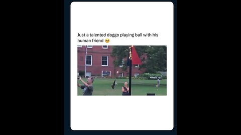 dog plays with her owner 😍