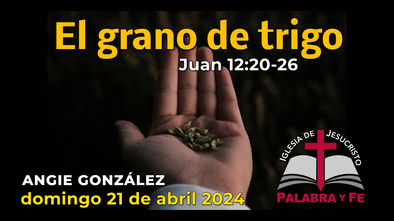 El Grano de Trigo