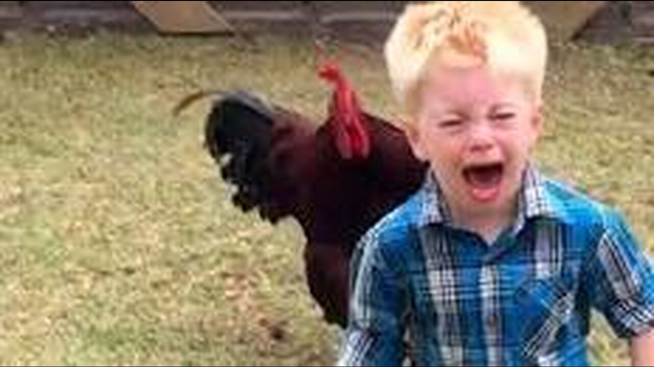 MUST WATCH! Funny Old Animals Scarring People