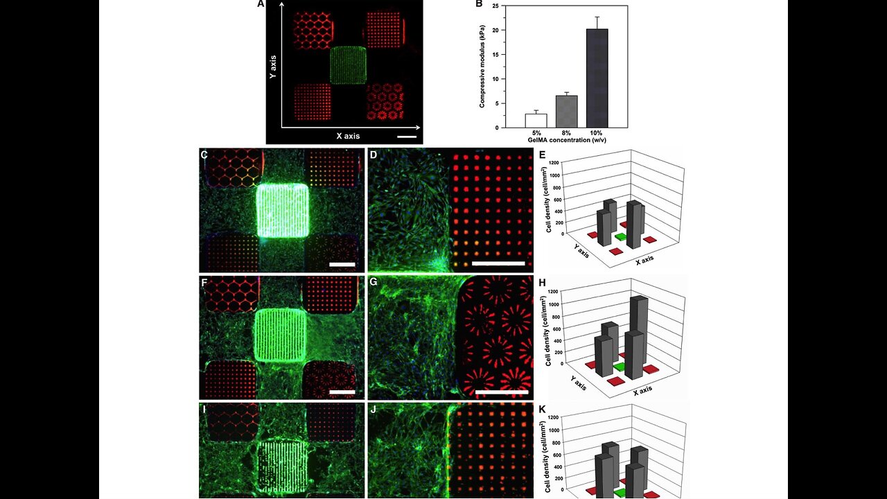 Heterogeneous hydrogels from manipulated prepolymer droplets and crosslinked microgels