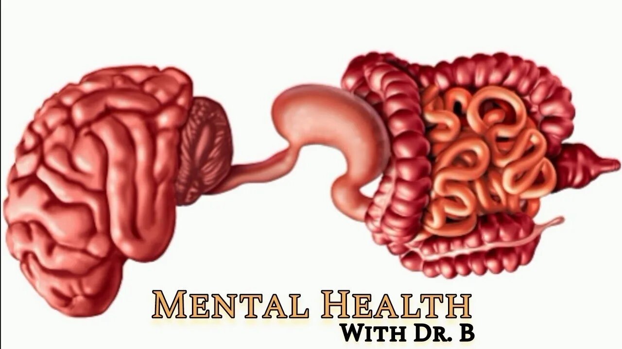 Mental Health with @Dr. John Bergman D.C.