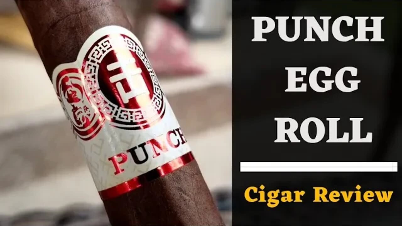 Punch Egg Roll Cigar Review