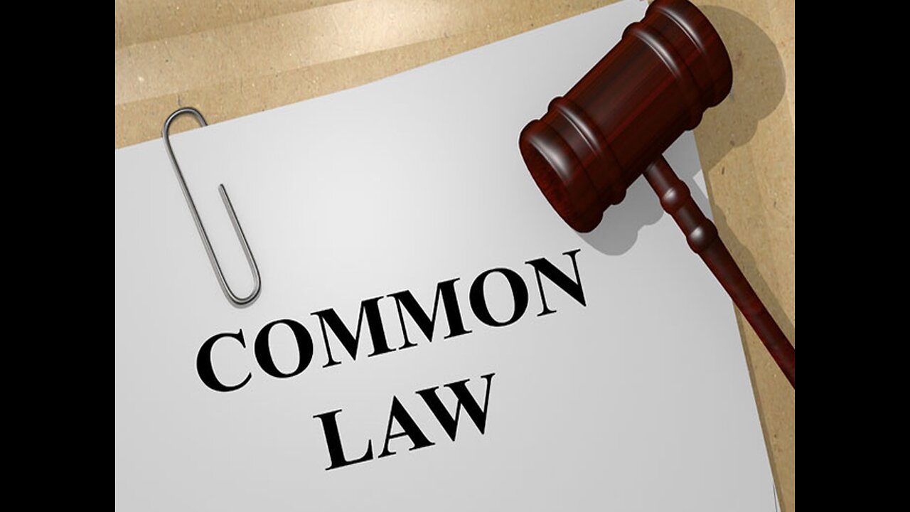 Common Law & the Legal System