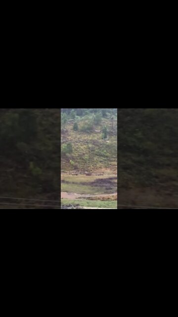 Starting to flood. 4th flood this year