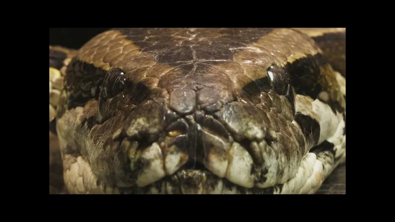 FINAL Case Against Lucifer Final Edit - Jonathan Kleck