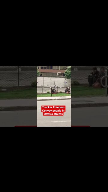 #freedomconvoy2022 supporters just hanging out in a micro-protest in Ottawa? What's going on?