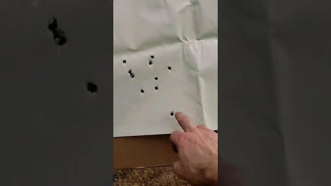 12 Gauge Buckshot Target Review