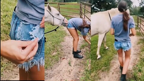 2023 Funny Animals - Funny cats / dogs - Funny videos 😂 - 😺 😍 Bast 23