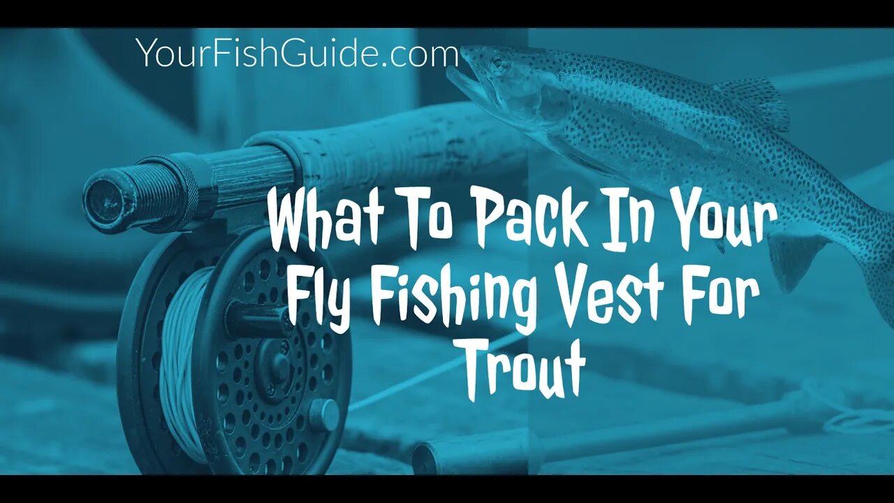 This Is What Your Need To Pack In Your Fly Fishing Vest For Trout: A MUST WATCH