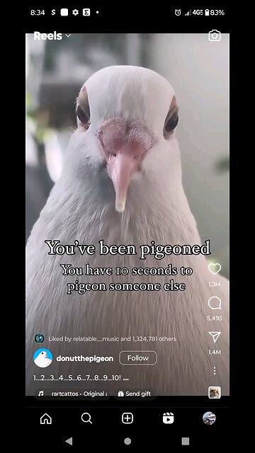 I'm worse than a green screen 🤧 kid